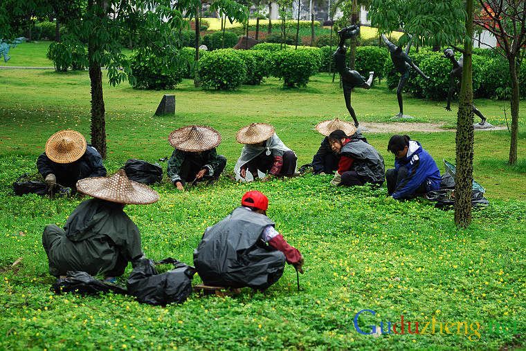 孤独症儿童未来可从事的十大职业 孤独症儿童未来可从事的十大职业