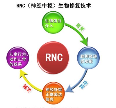 研究人员怀疑自闭症是由基因控制，再由环境因素触发