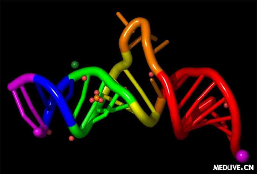 自闭症相关的非编码RNA