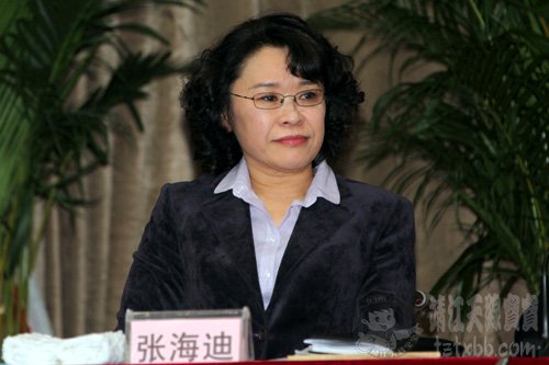 张海迪在2012孤独症服务机构负责人联席会议上的讲话