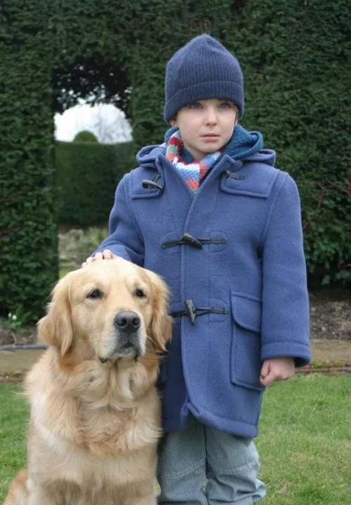 《我和托马斯》：自闭症儿童与金毛狗狗相互治愈的故事